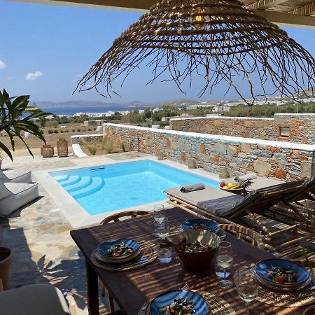 Villa Ypsilon Naxos - Luxury Holiday House With Amazing Sea View & Private Pool Agia Anna  Exterior photo