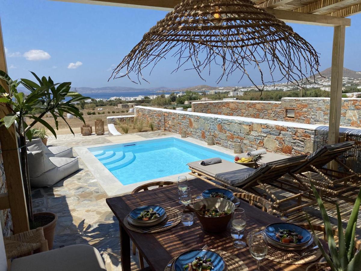 Villa Ypsilon Naxos - Luxury Holiday House With Amazing Sea View & Private Pool Agia Anna  Exterior photo